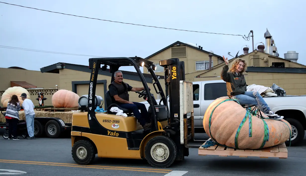 Cindy Tobeck duduk di atas labu seberat 1.736 pon miliknya dalam lomba Safeway World Championship Pumpkin Weigh-Off di Half Moon Bay, California, Amerika Serikat, Senin (14/10/2019). Seorang petani keluar sebagai juara dengan memboyong hadiah USD 15.225. (Justin Sullivan/Getty Images/AFP)