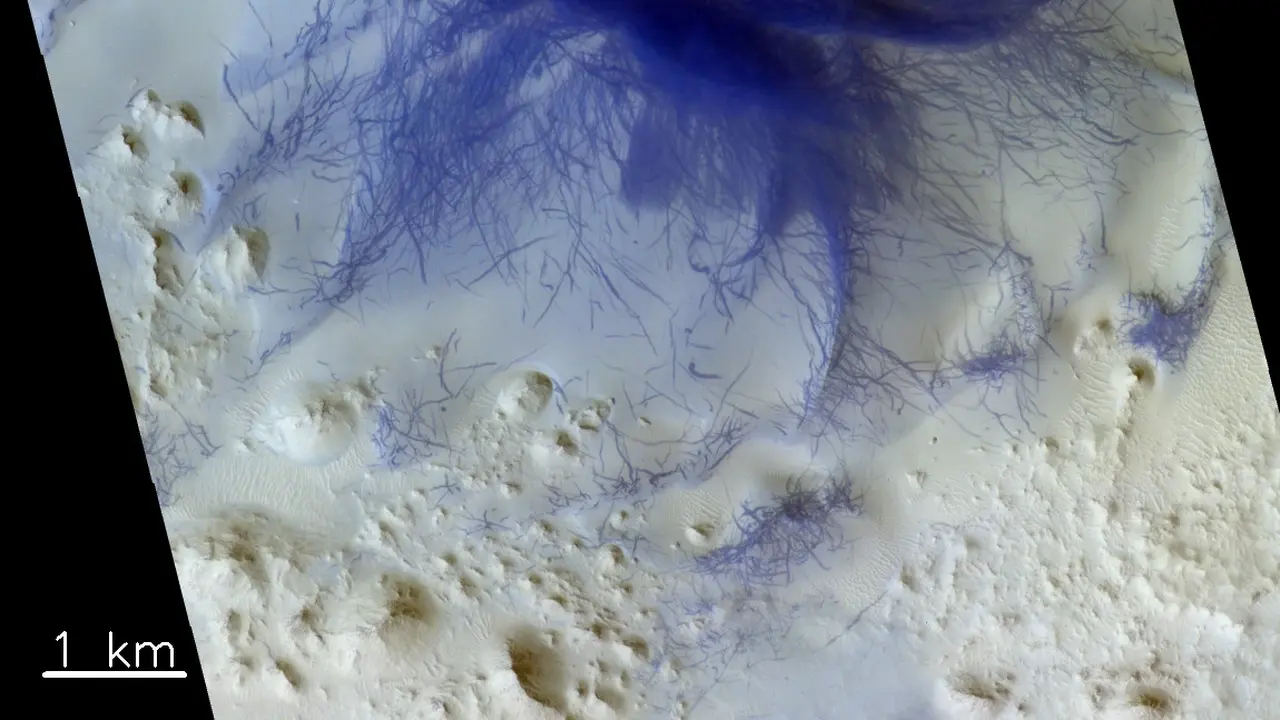 Laba-Laba Biru di Mars