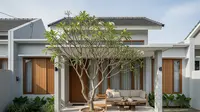 9 Model Rumah Teras Mini dan Pohon Pot Besar, Hunian Asri di Lahan Terbatas