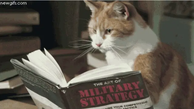 Meme Kucing Menguasai Dunia