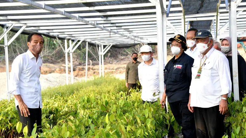 Presiden Jokowi meninjau Persemaian Mentawir yang terletak di Desa Mentawir, Kecamatan Sepaku, Kabupaten Penajam Paser Utara, Senin (14/3/2022).