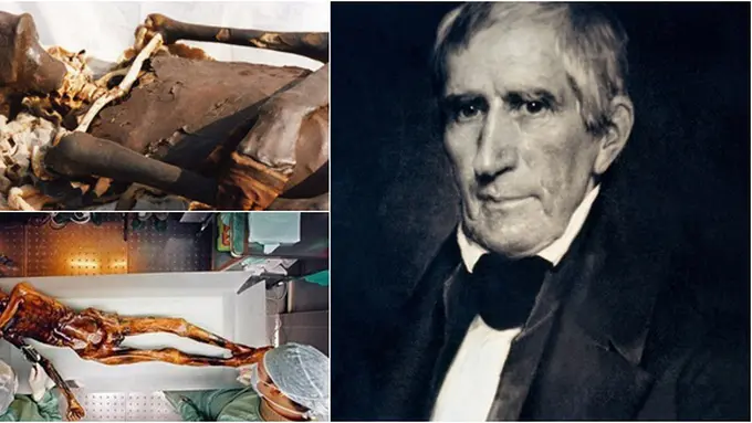 Foto dari Berbagai sumber