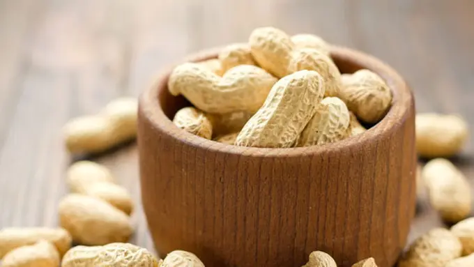 Foto: Copyright Shutterstock.com