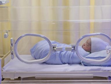 Berita Bayi Hari Ini Kabar Terbaru Terkini Liputan6 Com Page 11