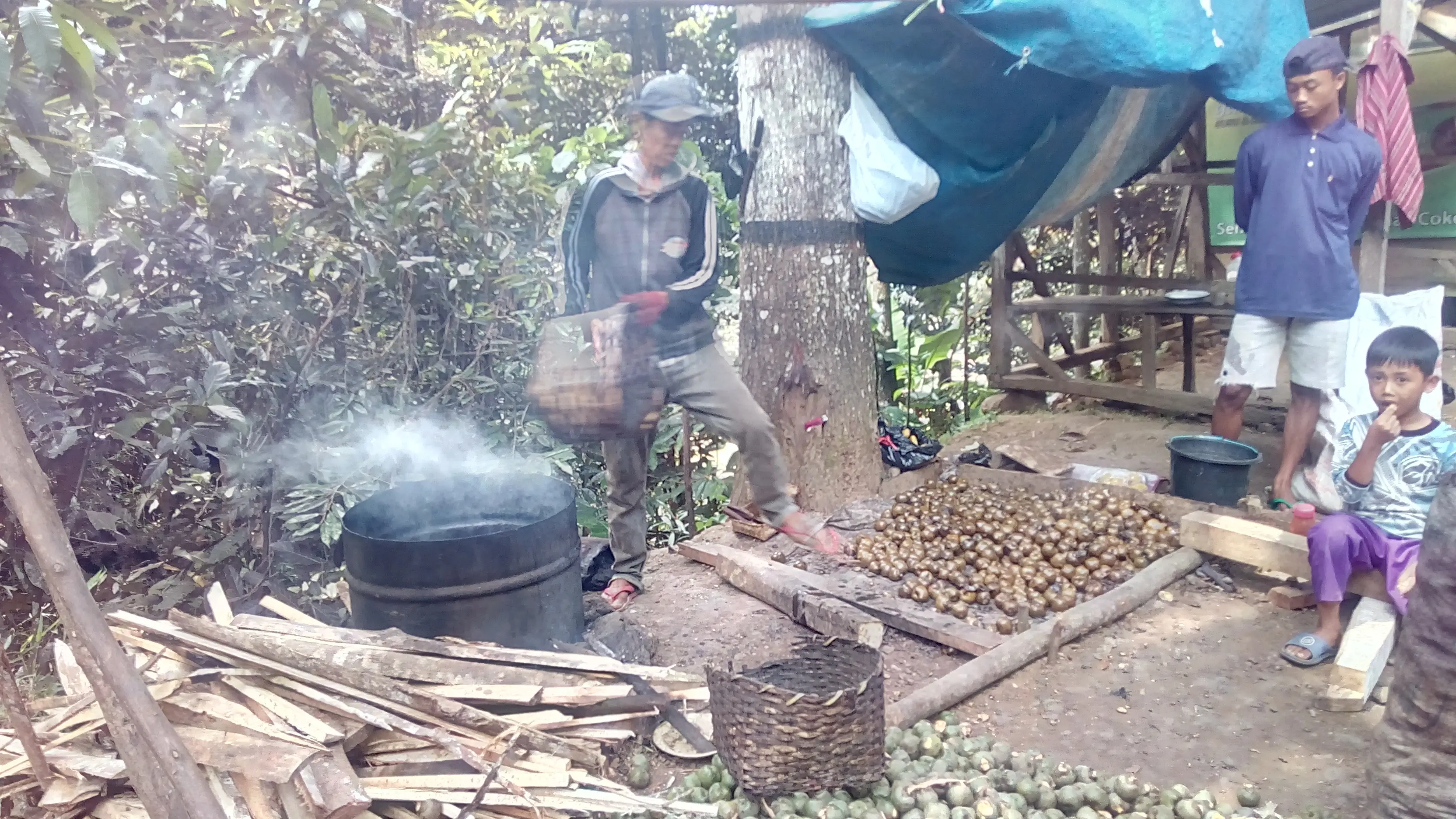 Buah Kolang Kaling menjadi berkah buat petani saat bulan Ramadan tiba. (Liputan6.com/Jayadi Supriadin).