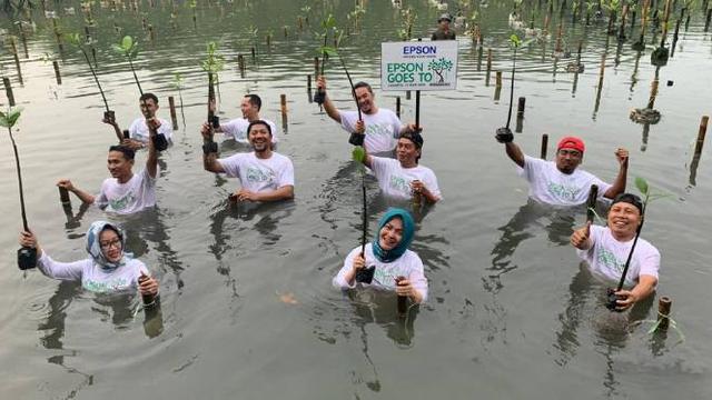 Penanaman Pohon Mangrove