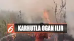 Petugas masih terus memadamkan kebakaran di Kebun Raya Sriwijaya, Ogan Ilir, Sumatra Selatan.