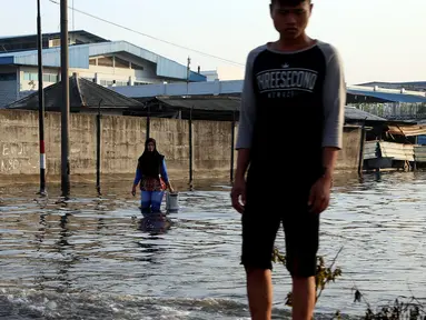 Seorang wanita menerobos banjir rob yang diakibatkan naiknya permukaan air laut di Muara Baru, Penjaringan, Jakarta Utara, Kamis (7/12). Rob tinggi membuat tanggul tidak mampu menahan air laut sehingga membanjiri jalanan. (Liputan6.com/Johan Tallo)