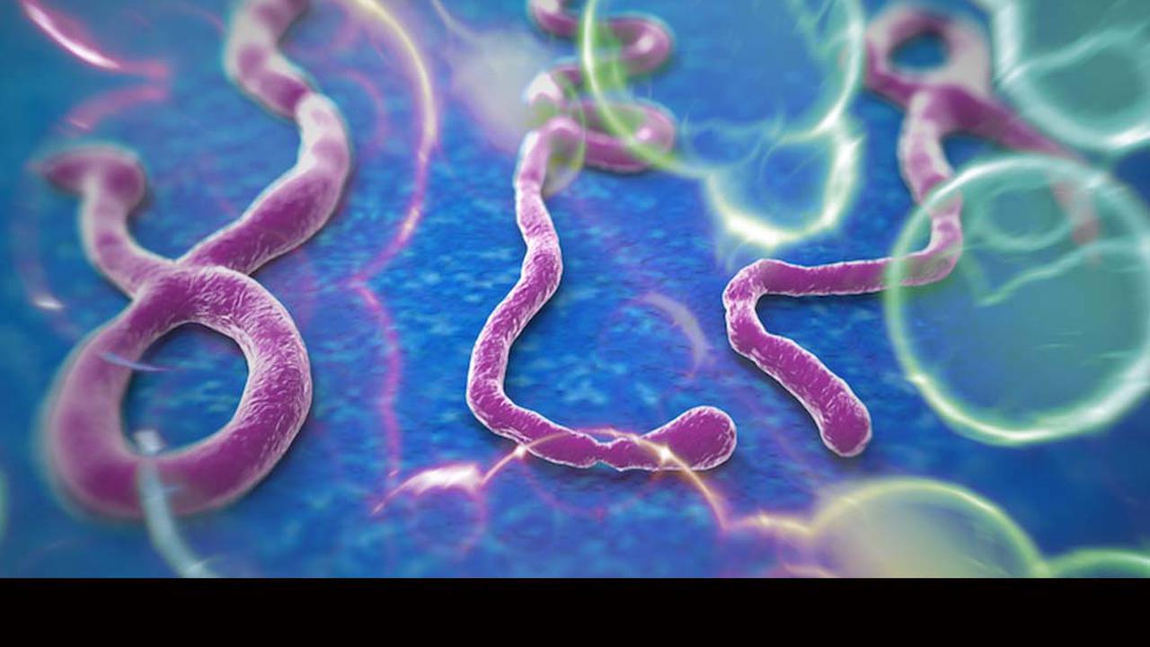 Ebola