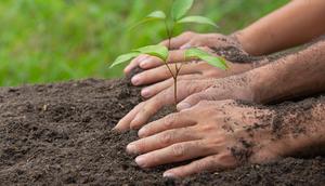 Ilustrasi menanam pohon. (Image by jcomp on Freepik)