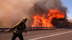 Petugas pemadam kebakaran menarik selang untuk memadamkan api di sepanjang Ronald Reagan (118) Jalan Bebas Hambatan di Simi Valley, Californnia (12/11). pi Woolsey pertama kali dilaporkan terdeteksi dekat Thousand Oaks. (AP Photo/Ringo H.W. Chiu)