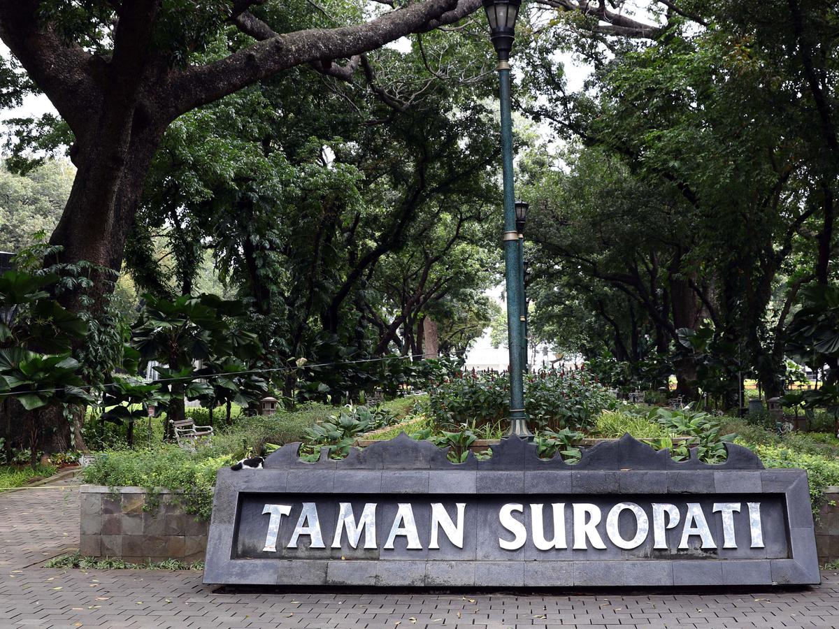 jenis tanaman ruang terbuka hijau - Amy Tucker