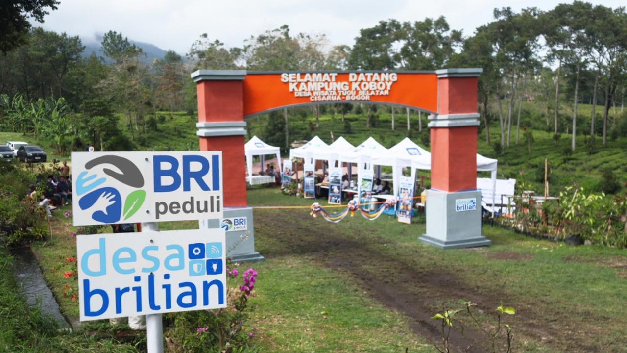 Perluas Pengembangan Ekonomi Desa, BRI Jangkau 5.245 Desa BRILiaN