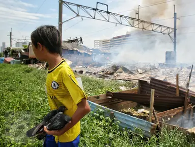 Seorang anak menyelamatkan burung saat kebakaran melanda pemukiman warga di Kampung Bandan, Ancol, Jakarta, Selasa (26/1). Lebih dari 27 mobil pemadam dikerahkan untuk menjinakkan api yang membakar bangunan semi permanen itu (Liputan6.com/Faizal Fanani)