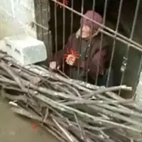 Nenek berusia 92 tahun dipaksa hidup dalam kerangkeng sempit. (Dailymail)