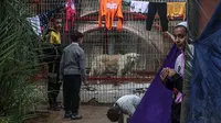 Sebuah keluarga Palestina yang mengungsi berlindung di dekat kandang hewan di kebun binatang di Rafah di Jalur Gaza Selatan, pada 2 Januari 2024. (Foto: AFP)