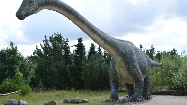 Brontosaurus