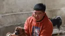 Staf bersiap membantu anjing bernama Yangyang mengenakan roda untuknya berjalan di penampungan hewan di Shenyang, China, 13 November 2018. Anjing liar itu diselamatkan 2 bulan lalu dan menerima roda khusus dari shelter untuk berjalan. (STR/AFP)