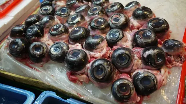 Makanan Aneh dari Jepang ini Bisa bikin Kita Pintar