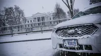 Badai Salju menghantam kawasan Pantai Timur AS pada 12-14 Januari 2019 (AFP/Eric Baradat)