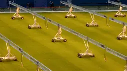 Pemandangan lapangan Stadion Saint Petersburg di Rusia, Selasa (4/2/2020). UEFA memberikan bintang empat untuk Stadion Saint Petersburg. (Olga MALTSEVA/AFP)