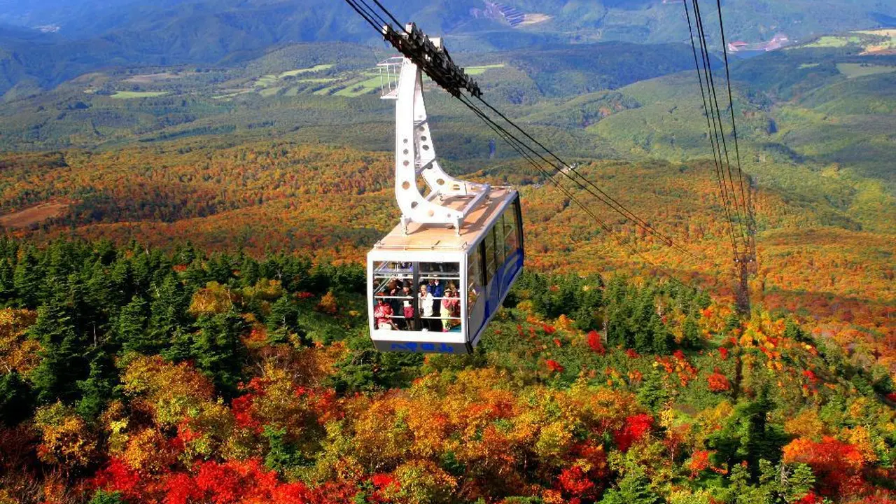 [Bintang] Jepang