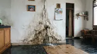 8 Cara Mengecek Pipa Air Rumah yang Mulai Bocor Tanpa Membongkar Dinding