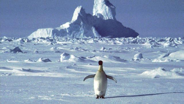 Mengapa benua antartika tidak dapat dihuni oleh manusia