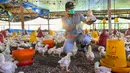 Seorang pegawai pemerintah memeriksa anak ayam untuk mencari tanda-tanda infeksi flu burung di sebuah peternakan unggas di Darul Imarah, Kabupaten Aceh Besar, Provinsi Aceh, Kamis (2/32023). Dinas Peternakan Provinsi Aceh melakukan disinfektan, pemeriksaan kesehatan, dan monitoring ke sejumlah usaha peternak unggas dalam upaya pencegahan flu burung. (CHAIDEER MAHYUDDIN/AFP)