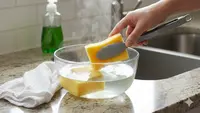 Cara Menghilangkan Bau Amis pada Spons Cuci Piring Agar Dapur Higienis