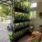 Desain Teras Rumah Kecil Tapi Asri dengan Kebun Vertikal (Foto: AI)
