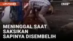 Saksikan Sapi Kurbannya Disembelih, Penjual Tempe di Jember Meninggal Dunia