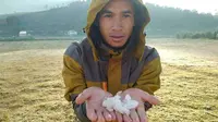 Kala ditimpa sinar matahari pagi, embun es yang menempel di rerumputan dan tanaman lain itu laksana intan permata di Dieng. (Liputan6.com/Muhamad Ridlo)