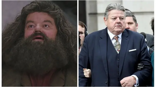 18 Tahun Berlalu, Ini Perubahan 7 Pemain Film Harry Potter