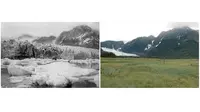 Gletser Pedersen, Alaska. (Musim Panas, 1917 — Musim Panas, 2005) (sumber.brightside.me)
