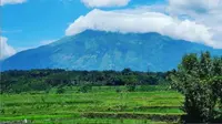 Gunung Merbabu Kembali Buka 2 Jalur Pendakian. (dok.Instagram @btn_gn_merbabu/https://www.instagram.com/p/CNOpjPbD5ic/Hnery)