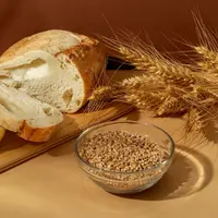 Ilustrasi Roti Gandum / by freepik