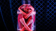 Aksi Odka masuk ke dalam botol saat tampil di acara Zippos Cirque Berserk di Teater Peacock, London (8/2). Wanita - wanita yang mengikuti acara mempunyai badan yang lentur untuk melakukan gerakan ekstrem. (REUTERS/Stefan Wermuth)