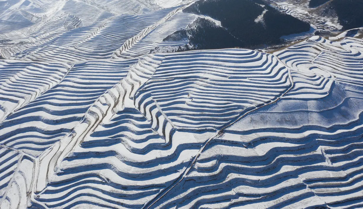 Foto dari udara yang diabadikan pada 7 Desember 2020 ini menunjukkan pemandangan sawah terasering yang tertutup salju di Kota Wuwei, Wilayah Otonom Etnis Tibet Tianzhu, Provinsi Gansu, China barat laut. (Xinhua/Jiang Aiping)