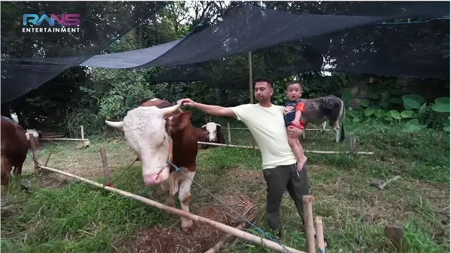6 Potret Cipung Kurban Sapi 1,1 Ton Pakai Uang Sendiri, Bayi dengan Endorse Termahal