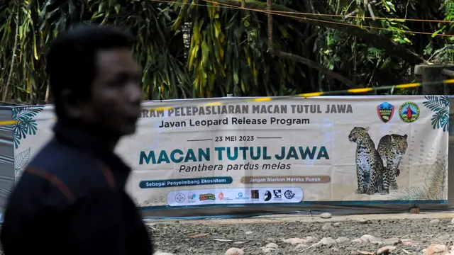 Satwa Liar Hidup Dan Berkembang Bebas. (Rabu, 24/05/2023). (Istimewa).