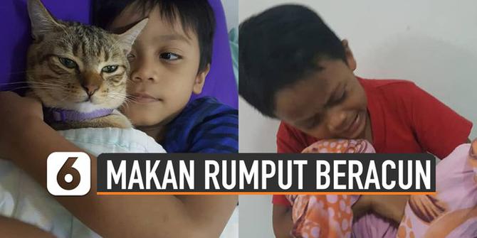 VIDEO: Bocah Menangis karena Kucingnya Mati di Pangkuannya Akibat Makan Rumput Beracun