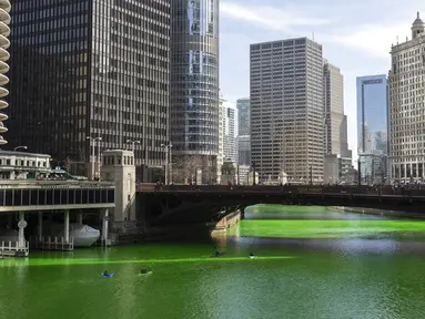 Sungai Chicago berwarna hijau jelang Hari Santo Patrick di Chicago, Amerika Serikat, Sabtu (13/3/2021). Wali Kota Lori Lightfoot membatalkan keputusan sebelumnya untuk tidak mewarnai Sungai Chicago pada tahun kedua karena pandemi virus corona COVID-19. (Pat Nabong/Chicago Sun-Times via AP)