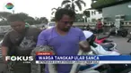 Ular sanca kembang ditangkap warga dalam kondisi lemah di tepi Kali Sekretaris, Grogol. Diduga ular tercemar limbah dari dalam kali.