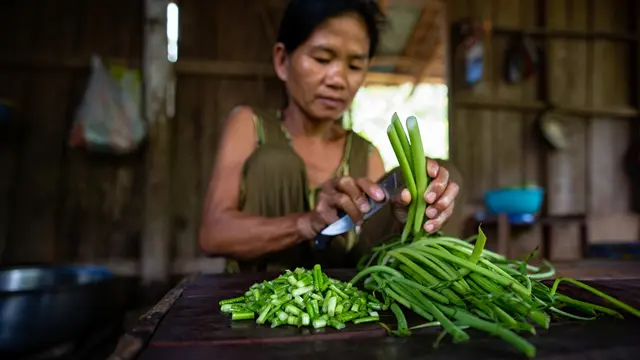 Cara Membuat Kangkung Kering untuk Pakan Ternak (Foto: Reve Art AI)