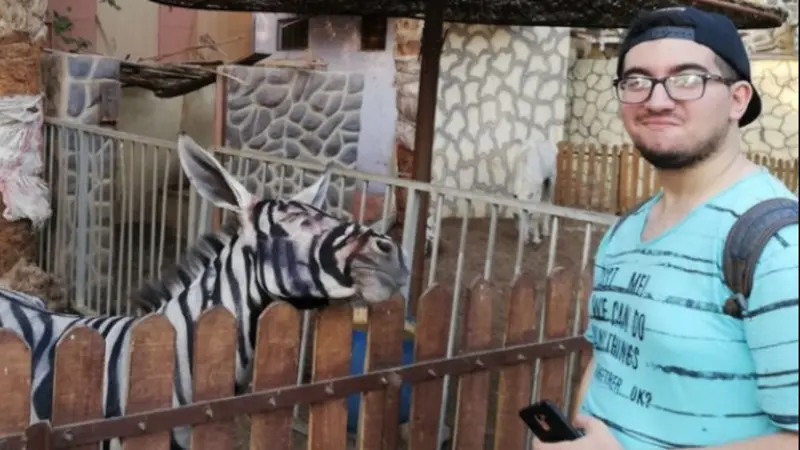 Keledai atau zebra? Kebun binatang di Mesir dituduh mengecat seekor keledai agar bermotif zebra, ternyata... (Mahmoud Sarhan via BBC)