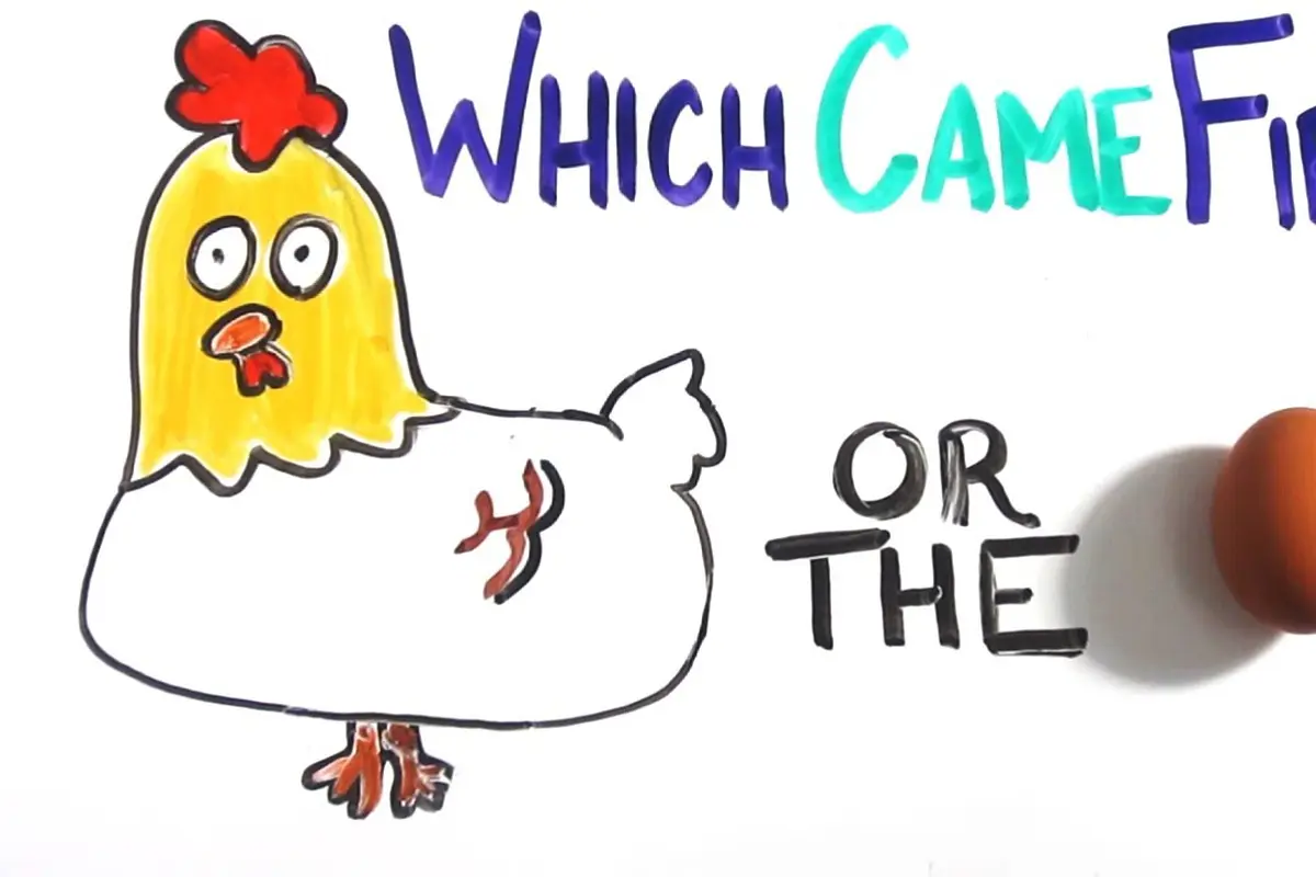 Pertanyaan Banyak Orang, Ayam Duluan atau Telur Duluan?