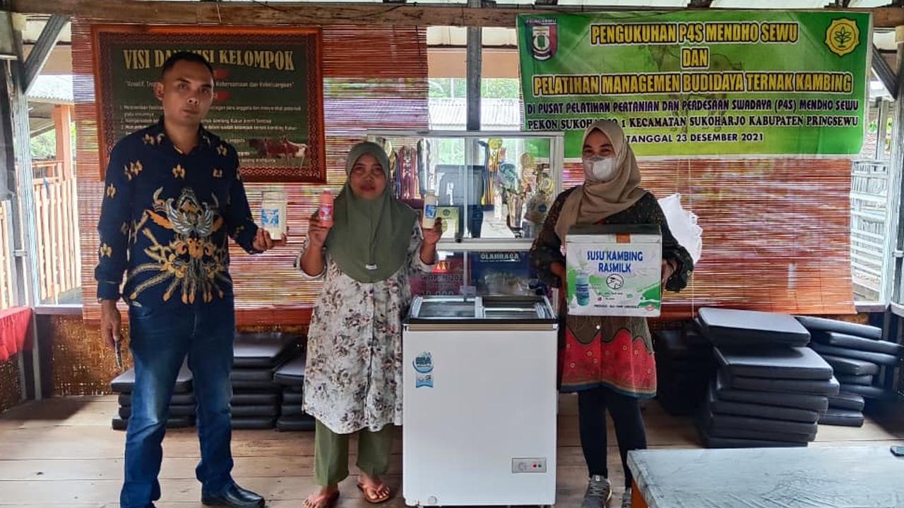 Cerita UMKM Susu Kambing Ras Farm, dari 1 Kambing Kini Miliki 100 Ekor Berkat Dukungan KUR BRI