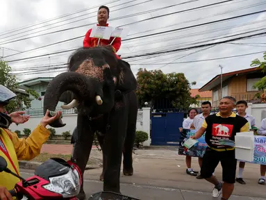 Seekor gajah membagikan pamflet jelang referendum, Ayutthaya, Thailand, Senin (1/8). Referendum konstitusi Thailand akan berlangsung 7 Agustus 2016. (REUTERS / Chaiwat Subprasom)
