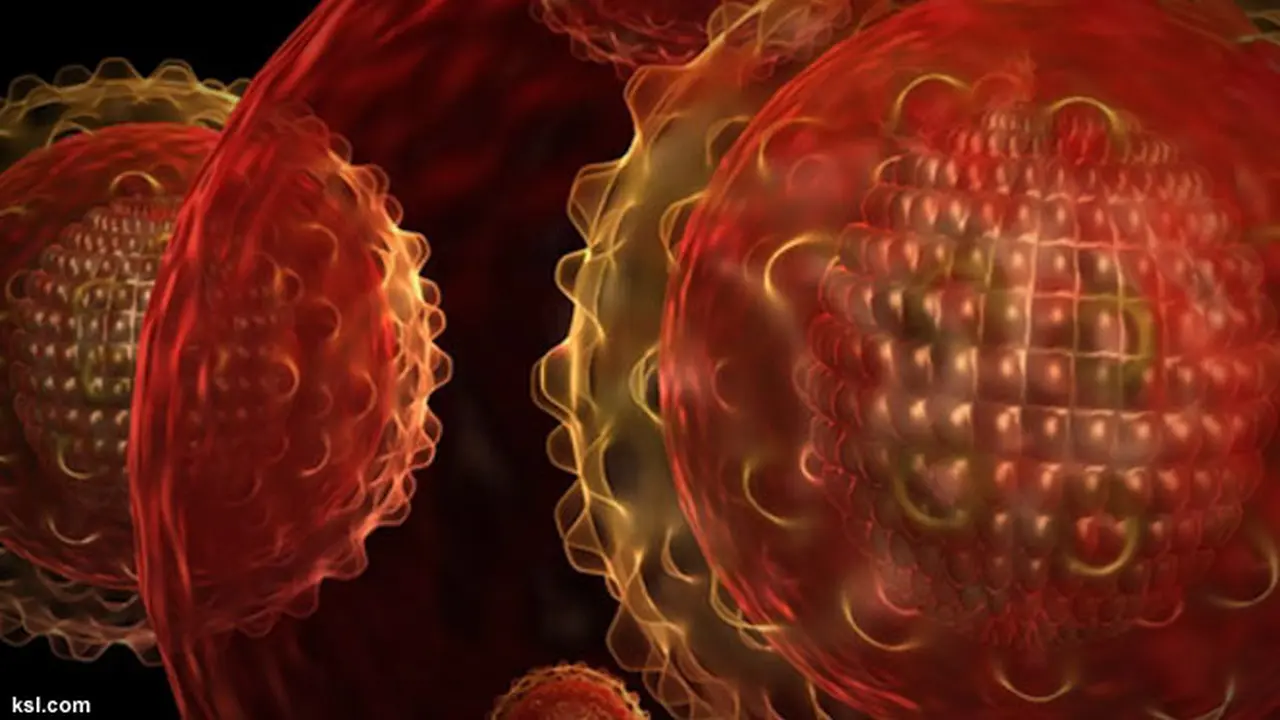 hepatitis-virus130712b.jpg